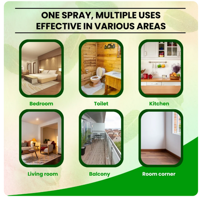 Lizard Repellent for Home Spray Pest Control